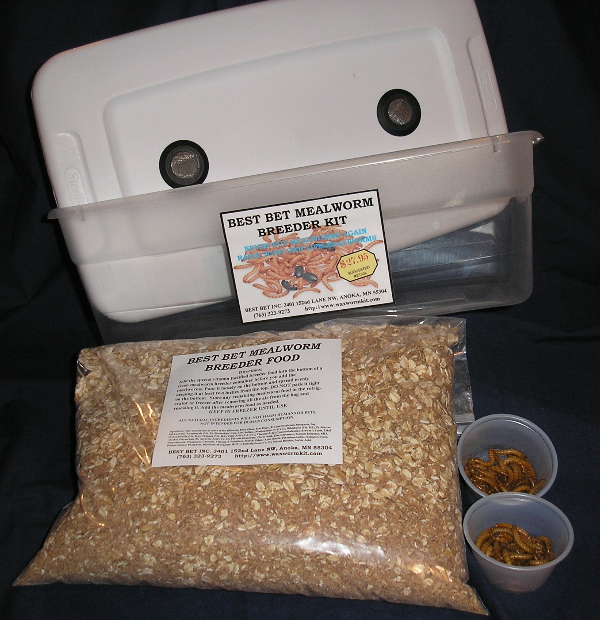 Best Bet Mealworm Breeder Kit