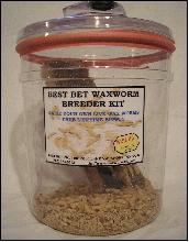 Worm Man's Worm and Crickets Farm. Wax Worm Bedding/Food Quart Size