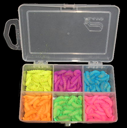 6 COLOR LIVE WAX WORM CARRIER WAXIE TAXI                  
